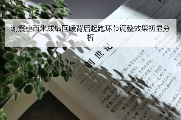 谢震业百米成绩回暖背后起跑环节调整效果初显分析